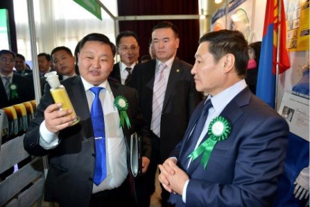 shar nuntag shar l yum daa tegshbayaraa