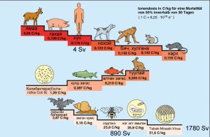 Цацрагт амьтан организм бүр харилцан адилгүй тэсвэртэй буюу эмзэг байдаг байна. Ямаа, гахай, хүн цацрагт хамгийн эмзэг байхад бактери, нэг эст амьтан, вирус хамгийн тэсвэртэй байдаг байна.