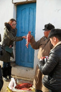 ЗУРАГ 6. Малчин Б.Батзориг тэмээний уушиг үзүүлж байна